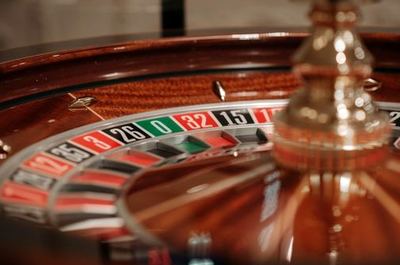 primary New88
